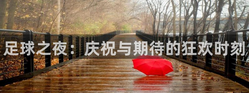  足球之夜：庆祝与期待的狂欢时刻