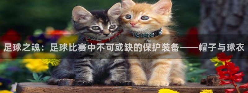  足球之魂：足球比赛中不可或缺的保护装备——帽子与球衣