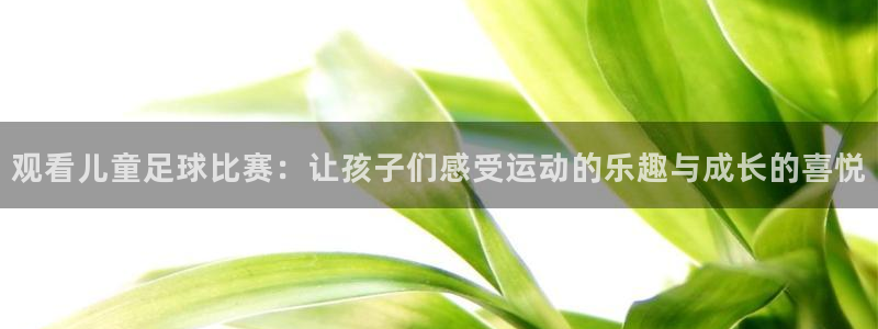  观看儿童足球比赛：让孩子们感受运动的乐趣与成长的喜悦
