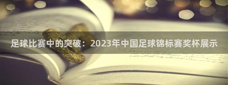  足球比赛中的突破：2023年中国足球锦标赛奖杯展示