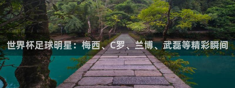  世界杯足球明星：梅西、C罗、兰博、武磊等精彩瞬间