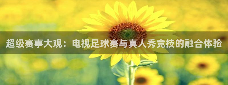  超级赛事大观：电视足球赛与真人秀竞技的融合体验