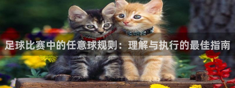 足球比赛中的任意球规则：理解与执行的最佳指南