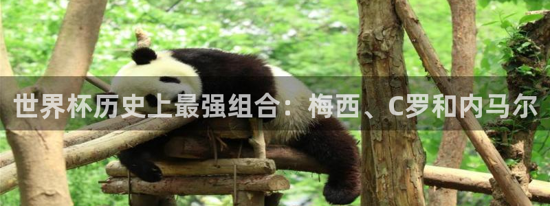 世界杯历史上最强组合：梅西、C罗和内马尔