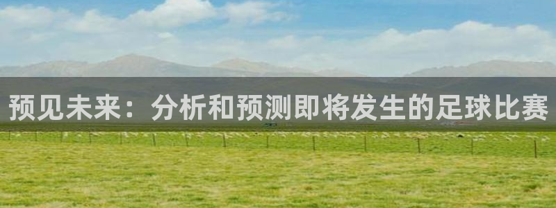 预见未来：分析和预测即将发生的足球比赛