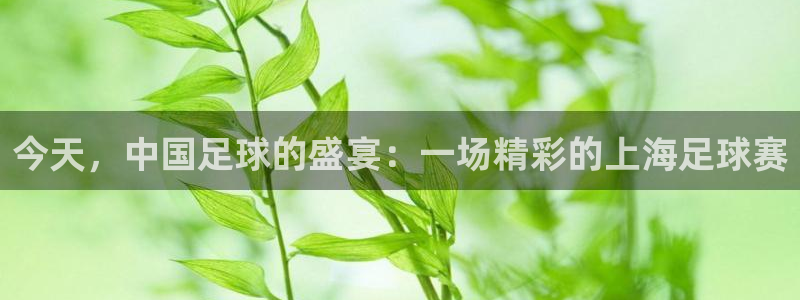  今天，中国足球的盛宴：一场精彩的上海足球赛