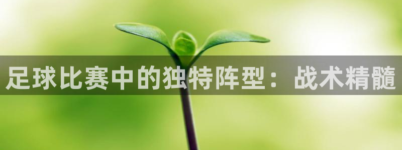 足球比赛中的独特阵型：战术精髓