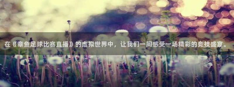 在《章鱼足球比赛直播》的虚拟世界中，让我们一同感受一场精彩的