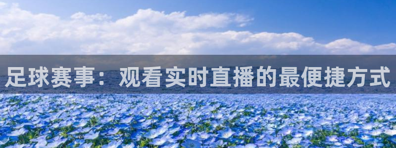  足球赛事：观看实时直播的最便捷方式