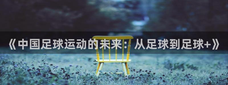 《中国足球运动的未来：从足球到足球+》