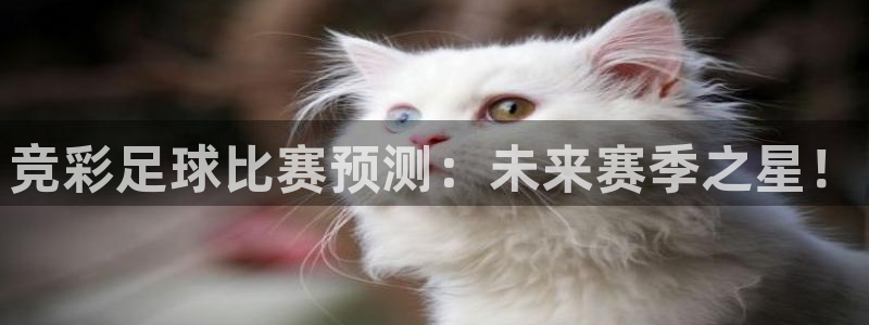  竞彩足球比赛预测：未来赛季之星！