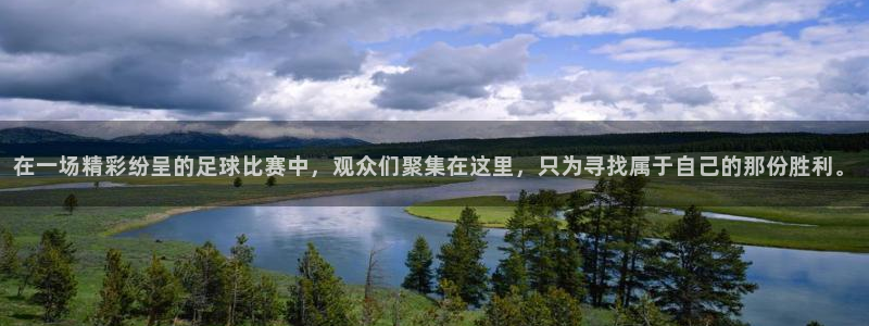 在一场精彩纷呈的足球比赛中，观众们聚