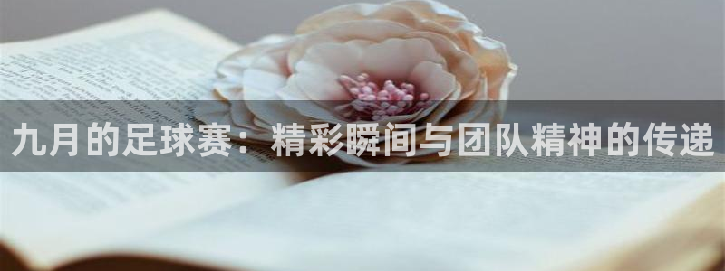 九月的足球赛：精彩瞬间与团队精神的传